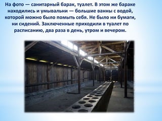 На фото — санитарный барак, туалет. В этом же бараке
находились и умывальни — большие ванны с водой,
которой можно было помыть себя. Не было ни бумаги,
ни сидений. Заключенные приходили в туалет по
расписанию, два раза в день, утром и вечером.
 