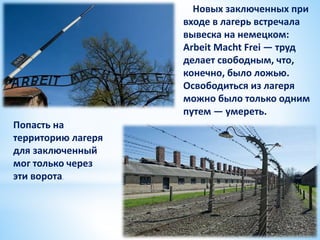 Новых заключенных при
входе в лагерь встречала
вывеска на немецком:
Arbeit Macht Frei — труд
делает свободным, что,
конечно, было ложью.
Освободиться из лагеря
можно было только одним
путем — умереть.
Попасть на
территорию лагеря
для заключенный
мог только через
эти ворота.
 