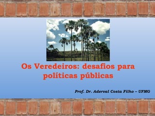 Os Veredeiros: desafios para
políticas públicas
Prof. Dr. Aderval Costa Filho – UFMG
 