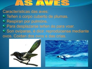 Características das aves:
Teñen o corpo cuberto de plumas.
Respiran por pulmóns.
Para desplazarse teñen ás para voar.
Son ovíparas, é dicir, reprodúcense mediante
ovos. Coidan dos ovos e das crías.
 