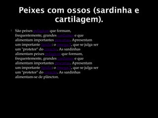 Peixes com ossos (sardinha e
               cartilagem).
   São peixes pelágicos que formam,
    frequentemente, grandes cardumes e que
    alimentam importantes pescarias. Apresentam
    um importante lipídio: o ômega-3, que se julga ser
    um "protetor" do coração. As sardinhas
    alimentam peixes pelágicos que formam,
    frequentemente, grandes cardumes e que
    alimentam importantes pescarias. Apresentam
    um importante lipídio: o ômega-3, que se julga ser
    um "protetor" do coração. As sardinhas
    alimentam-se de plâncton.
 