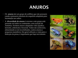 ANUROS
   Os  anuros são um grupo de anfíbios que não possuem
    cauda e possuem estrutura de esqueleto adaptada para
    locomoção aos saltos.
   A  diversidade de anuros é enorme e este grupo está
    presente em todos os continentes, com exceção da
    Antártica. Existem anuros adaptados vida aquática,
    terrestre, arborícola e fossorial. Todos são carnívoros,
    alimentando-se de invertebrados, outros anuros e
    pequenos mamíferos. Em geral utilizam a visão para a
    detecção da presa, é importante que haja movimento.
 