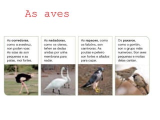As aves
 