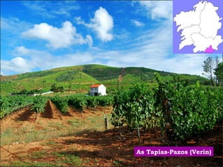 As Tapias-Pazos (Verín) 
 