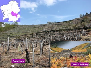 Socalcos 
Doade (Sober) 
 