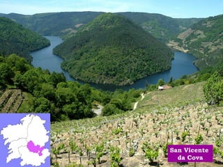 San Vicente 
da Cova 
 