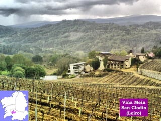Viña Meín 
San Clodio 
(Leiro) 
 
