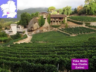 Viña Meín 
San Clodio 
(Leiro) 
 