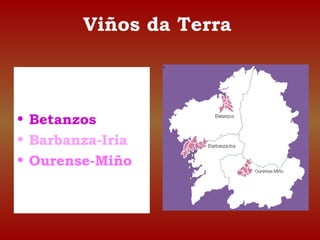 Viños da Terra 
• Betanzos 
• Barbanza-Iria 
• Ourense-Miño 
 