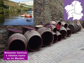 Betanzos: barricas 
e viñedos xunto 
ao rio Mandeo 
 