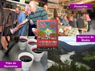Viño de 
Barrantes 
Furancho 
Negueira de 
Muñiz 
 