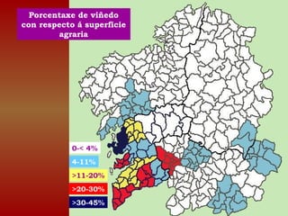Porcentaxe de viñedo 
con respecto á superficie 
agraria 
0-< 4% 
4-11% 
>11-20% 
>20-30% 
>30-45% 
 