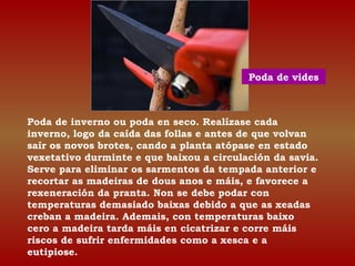 Poda de vides 
Poda de inverno ou poda en seco. Realízase cada 
inverno, logo da caída das follas e antes de que volvan 
s...