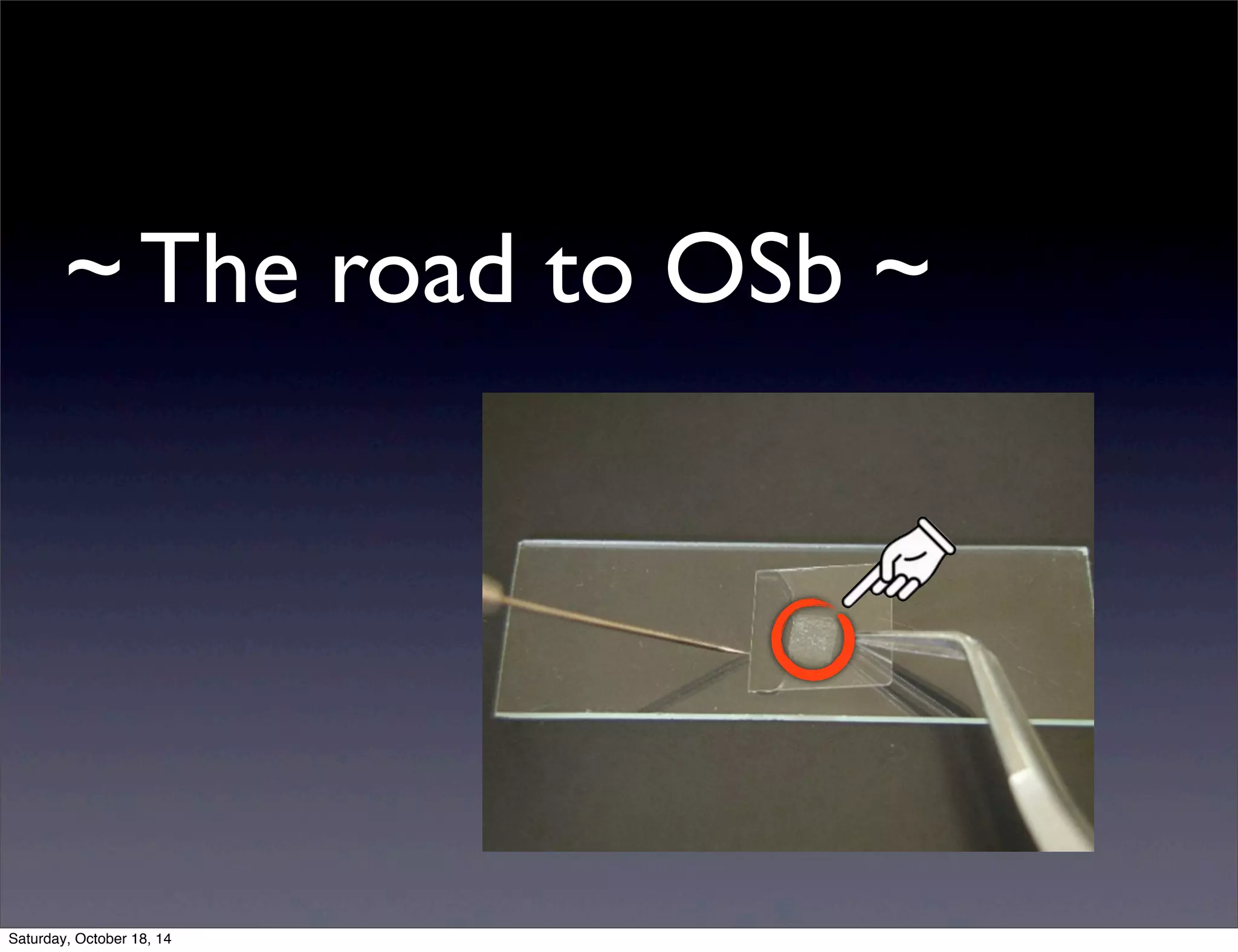 ~ The road to OSb ~ 
Saturday, October 18, 14 
 