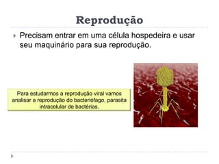 Reprodução
   Precisam entrar em uma célula hospedeira e usar
    seu maquinário para sua reprodução.




  Para estudarmos a reprodução viral vamos
analisar a reprodução do bacteriófago, parasita
            intracelular de bactérias.
 