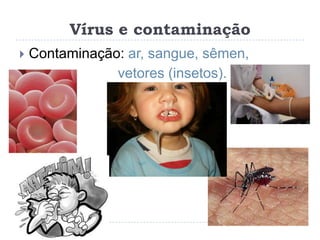 Vírus e contaminação
   Contaminação: ar, sangue, sêmen,
                vetores (insetos).
 