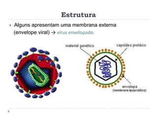 Estrutura
   Alguns apresentam uma membrana externa
    (envelope viral) → vírus envelopado.
 