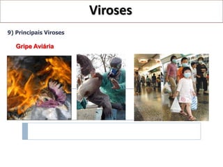 Viroses
9) Principais Viroses

   Gripe Aviária
 
