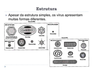 Estrutura
   Apesar da estrutura simples, os vírus apresentam
    muitas formas diferentes.
 
