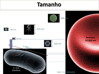 Tamanho
                                  300 nm
Tamanho dos vírus


  90 nm             225 nm


          24 nm
                                                 Hemácia
                                                10.000 nm
                             150 nm




     E. Coli
   (bactéria)
                               nm = nanômetro
 
