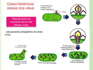 CARACTERÍSTICAS
GERAIS DOS VÍRUS
Reproduzem-se
somente dentro de
células vivas.
- são parasitas obrigatórios de seres
vivos.
 