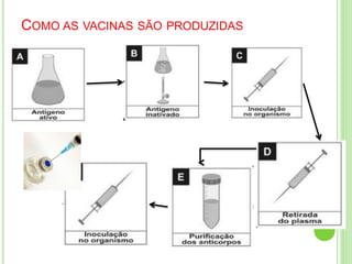 COMO AS VACINAS SÃO PRODUZIDAS
 