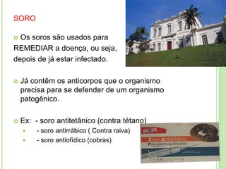 SORO
 Os soros são usados para
REMEDIAR a doença, ou seja,
depois de já estar infectado.
 Já contêm os anticorpos que o organismo
precisa para se defender de um organismo
patogênico.
 Ex: - soro antitetânico (contra tétano)
 - soro antirrábico ( Contra raiva)
 - soro antiofídico (cobras)
 