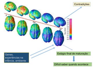 Estágio final de maturação
Contradições
Genes,
experiências na
infância, ambiente
Difícil saber quando acontece
 