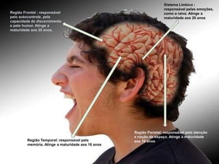 Região Parietal: responsável pela atenção
e noção de espaço. Atinge a maturidade
aos 16 anos
Região Frontal : responsável
pelo autocontrole, pela
capacidade de discernimento
e pelo humor. Atinge a
maturidade aos 20 anos.
Sistema Límbico :
responsável pelas emoções,
como a raiva. Atinge a
maturidade aos 20 anos
Região Temporal: responsável pela
memória. Atinge a maturidade aos 16 anos
 