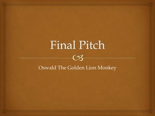 Oswald The Golden Lion Monkey
 