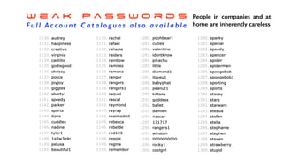 W e a k P a s s w o r d s


F u l l A c c o u n t C a t a l o g u e s a l s o a v a i l a b l e
People in companies and at
home are inherently careless
 