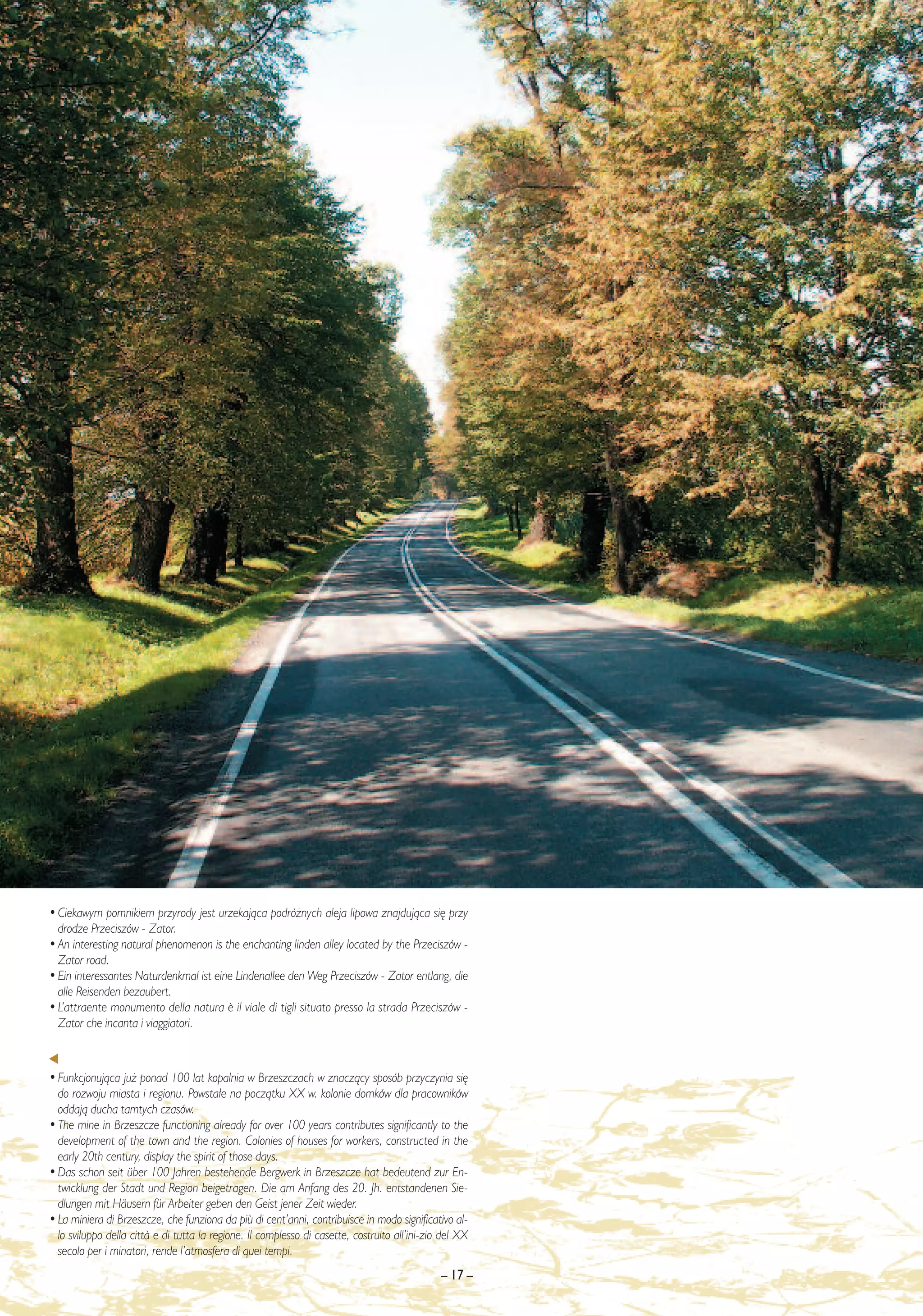 • Ciekawym pomnikiem przyrody jest urzekajàca podró˝nych aleja lipowa znajdujàca si´ przy
  drodze Przeciszów - Zator.
• An interesting natural phenomenon is the enchanting linden alley located by the Przeciszów -
  Zator road.
• Ein interessantes Naturdenkmal ist eine Lindenallee den Weg Przeciszów - Zator entlang, die
  alle Reisenden bezaubert.
• L’attraente monumento della natura ¯ il viale di tigli situato presso la strada Przeciszów -
  Zator che incanta i viaggiatori.



• Funkcjonujàca ju˝ ponad 100 lat kopalnia w Brzeszczach w znaczàcy sposób przyczynia si´
  do rozwoju miasta i regionu. Powsta∏e na poczàtku XX w. kolonie domków dla pracowników
  oddajà ducha tamtych czasów.
• The mine in Brzeszcze functioning already for over 100 years contributes significantly to the
  development of the town and the region. Colonies of houses for workers, constructed in the
  early 20th century, display the spirit of those days.
• Das schon seit über 100 Jahren bestehende Bergwerk in Brzeszcze hat bedeutend zur En-
  twicklung der Stadt und Region beigetragen. Die am Anfang des 20. Jh. entstandenen Sie-
  dlungen mit Häusern für Arbeiter geben den Geist jener Zeit wieder.
• La miniera di Brzeszcze, che funziona da più di cent’anni, contribuisce in modo significativo al-
  lo sviluppo della citt∫ e di tutta la regione. Il complesso di casette, costruito all’ini-zio del XX
  secolo per i minatori, rende l’atmosfera di quei tempi.
                                                                                               – 17 –
 