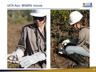 UCN Açu: Wildlife rescue




                           10
 