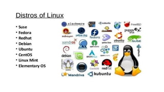 osy6_windows_linux (1).pdf