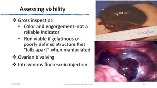 Assessing viability
 Gross inspection
• Color and engorgement- not a
reliable indicator
• Non viable if gelatinous or
poorly defined structure that
“falls apart” when manipulated
 Ovarian bivalving
 Intravenous fluorescein injection
4/17/2023 case presentation on adnexal torsion 32
 