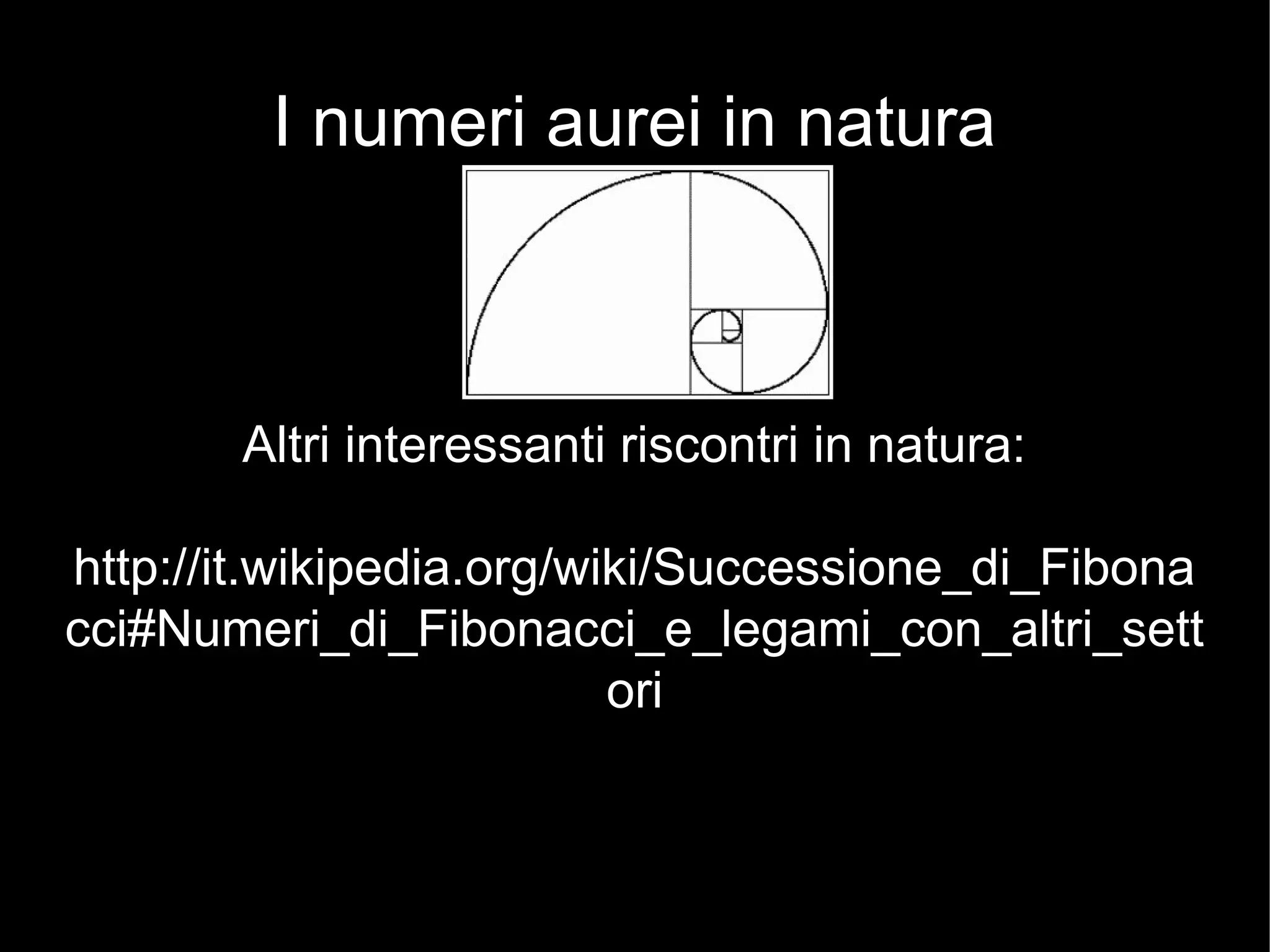 I numeri aurei in natura
Altri interessanti riscontri in natura:
http://it.wikipedia.org/wiki/Successione_di_Fibona
cci#Numeri_di_Fibonacci_e_legami_con_altri_sett
ori
 