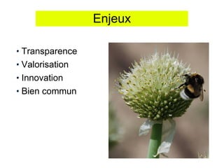 Enjeux

Transparence
Valorisation
Innovation
Bien commun
 
