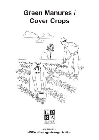 Green Manures /
Cover Crops

produced by

HDRA - the organic organisation

 