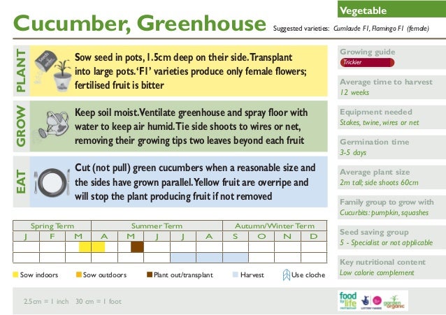 Organic Vegetable Growing Handbook ~ United Kingdom