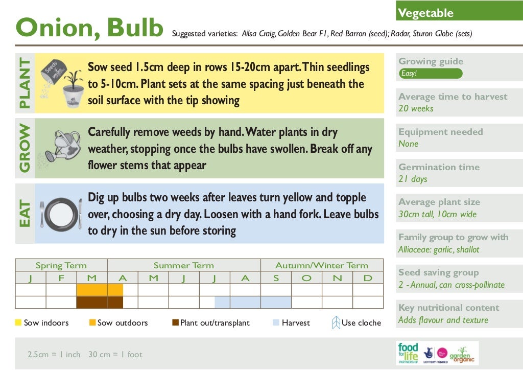 Organic Vegetable Growing Handbook ~ United Kingdom
