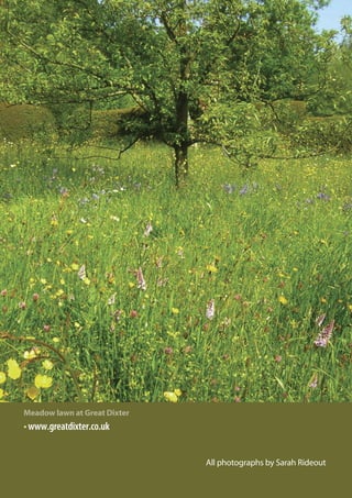 Meadow lawn at Great Dixter

• www.greatdixter.co.uk

All photographs by Sarah Rideout

 