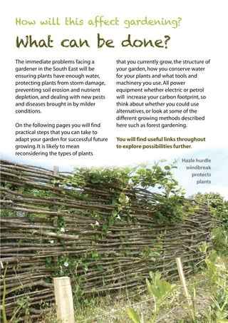 How will this affect gardening?

What can be done?
The immediate problems facing a
gardener in the South East will be
ensuring plants have enough water,
protecting plants from storm damage,
preventing soil erosion and nutrient
depletion, and dealing with new pests
and diseases brought in by milder
conditions.
On the following pages you will find
practical steps that you can take to
adapt your garden for successful future
growing. It is likely to mean
reconsidering the types of plants

that you currently grow, the structure of
your garden, how you conserve water
for your plants and what tools and
machinery you use. All power
equipment whether electric or petrol
will increase your carbon footprint, so
think about whether you could use
alternatives, or look at some of the
different growing methods described
here such as forest gardening.
You will find useful links throughout
to explore possibilities further.
Hazle hurdle
windbreak
protects
plants

3

 