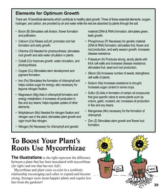 Elements for Optimum Growth
There are 19 beneficial elements which contribute to healthy plant growth. Three of these essential elements: oxygen,
hydrogen, and carbon, are provided by air and water while the rest are absorbed by plants through the soil.
•	 Boron (B) Stimulates cell division, flower formation
and pollination.
•	 Calcium (Ca) Raises soil pH; promotes root hair
formation and early growth.
•	 Chlorine (Cl) Needed for photosynthesis; stimulates
root growth and aids water circulation in plants.
•	 Cobalt (Co) Improves growth, water circulation, and
photosynthesis.
•	 Copper (Cu) Stimulates stem development and
pigment formation.
•	 Iron (Fe) Stimulates the formation of chlorophyll and
helps oxidize sugar for energy; also necessary for
legume nitrogen fixation.
•	 Magnesium (Mg) Aids in chlorophyll formation and
energy metabolism; it increases oil production in
flax and soy beans; helps regulate uptake of other
elements.
•	 Molybdenum (Mo) Needed for nitrogen fixation and
nitrogen use in the plant; stimulates plant growth and
vigor much like nitrogen.
•	 Nitrogen (N) Necessary for chlorophyll and genetic

material (DNA & RNA) formation; stimulates green,
leafy growth.
•	 Phosphorous (P) Necessary for genetic material
(DNA & RNA) formation; stimulates fruit, flower and
root production, and early season growth; increases
disease resistance.
•	 Potassium (K) Produces strong, sturdy plants with
thick cell walls and increases disease resistance;
stimulates fruit, seed and root production.
•	 Silicon (Si) Increases number of seeds; strengthens
cell walls of plants.
•	 Sodium (Na) Increases resistance to drought;
increases sugar content in some crops.
•	 Sulfur (S) Aids in formation of certain oil compounds
that give specific odors to some plants such as
onions, garlic, mustard, etc; increases oil production
in flax and soy beans.
•	 Manganese (Mn) necessary for the formation of
chlorophyll.
•	 Zinc (Z) Stimulates stem growth and flower bud
formation.

To Boost Your Plant’s
Roots Use Mycorrhizae
The illustrations to the right represent the difference

between a plant that has been inoculated with mycorrhizae
(far right) and one that has not (left).
Mycorrhizae and plant roots co-exist in a symbiotic
relationship encouraging each other to expand and become
strong. Stronger roots mean happier plants and require less
fuss from the gardener!

29

 