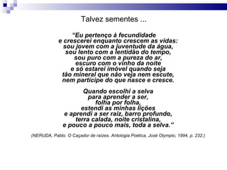 Talvez sementes ... “ Eu pertenço à fecundidade e crescerei enquanto crescem as vidas: sou jovem com a juventude da água, sou lento com a lentidão do tempo, sou puro com a pureza do ar, escuro com o vinho da noite e só estarei imóvel quando seja tão mineral que não veja nem escute, nem participe do que nasce e cresce. Quando escolhi a selva para aprender a ser, folha por folha, estendi as minhas lições e aprendi a ser raiz, barro profundo, terra calada, noite cristalina, e pouco a pouco mais, toda a selva.” (NERUDA, Pablo. O Caçador de raízes. Antologia Poética, José Olympio, 1994, p. 232.) 