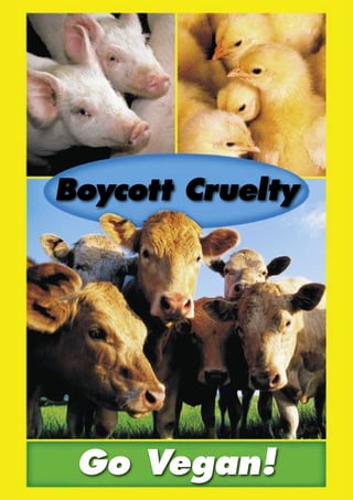 Boycott Cruelty

Go Vegan!

 