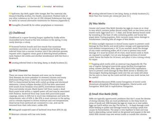 Required 

Recommended 

Permitted 

Prohibited

Apiforme, Api Herb, apple cider vinegar, Bee Tea, essential oils,
Honey B Healthy, lecithin, Pro Health, resveratrol, Vitafeed Gold, or
any other substance on the List of CNG Allowed Substances that may
be useful as natural alternative treatments for Nosema [Appendix I].
Fumagillin (Fumidil-B), for either prophylaxis or treatment.

( f ) Chalkbrood
Chalkbrood is a spore-forming fungus, typified by chalky white
mummified larva found at the hive entrance in the spring. It only
rarely destroys a colony.
Screened bottom boards and hive stands that maximize
ventilation and draw out moist air. Supplemental feeding. Move
infected hives into a sunnier location, and if the infection persists,
requeen with a hygienic strain good at detecting brood problems
early. Replace old combs and sterilize woodenware with fire from a
blowtorch.
Locating infected hives in low lying, damp, or shady locations [2.].

(g) Viral Diseases
There are many viral bee diseases and none can be treated.
Viral diseases are more prevalent in stressed colonies and many
(Deformed Wing Virus, or DWV) are vectored by Varroa mites.
DWV is characterized by bees with curled up wings and shortened
abdomens. Colony collapse disorder (CCD) has been associated
with Israeli Acute Paralysis virus (IAPV), Invertebrate Iridescent
Virus and similar viruses. Black Queen Cell Virus causes a dead
black pupal scale within a capped queen cell and may be associated
with Nosema. Sacbrood Virus may cause dark punctured pupal
cappings, similar to AFB, but is much less widespread, and lacks the
characteristic odor of AFB. It, like EFB, is most common in the spring
and in colonies exposed to excess moisture and cool temperatures.
Dead larvae from sacbrood are contained in a sac, and can be
removed from their cells intact, unlike AFB.
Distinguish suspected cases of Sacbrood virus from AFB [14. (c)].
Maintain colonies with low mite levels.
22

Locating infected hives in low lying, damp, or shady locations [2.].
More than four moves per colony per year [12.]

(h) Wax Moths
Greater and Lesser Wax Moth females lay eggs en-mass on or close
to wax which contains pollen (brood comb), both on bee hives and on
stored comb. Eggs hatch in 3 – 5 days, and larvae destroy brood comb
by tunneling at the base of cells containing pollen and honey bee
pupal skins. During pupation, their cocoons cause minor damage to
woodenware. Freezing kills all stages of Wax Moths.
Utilize sunlight exposure in stored honey supers to prevent comb
damage by Wax Moths and avoid indoor storage until appropriately
cold ambient temperatures ( 50° F) are reached. Avoid the storage
of any comb containing pollen off of a hive to prevent wax moth
damage. If it must be stored off of a hive, store brood comb in fresh
air, exposed to sunlight. Cut out any damaged sections of stored
comb, freeze the frame for 24 hours, and place it into a strong colony
for repair.
Trapping adult moths with an external trap [Appendix III]. The
use of organic biological insecticide spray, Bacillus thuringeinsis
subsp. aizawai (XenTari, Able, Agree WG) which kills Lepidoptera
larva to prevent comb damage by Wax Moth larvae is allowed, but
discouraged. Stacking damaged comb over fire ant nests will allow
the fire ants to clean up the comb and kill any wax moth larvae, but
be careful!
Paradichlorobenzene (PDB) crystal fumigation of stored comb.
Aluminum phosphide (Phostoxin) fumigation. Glacial acetic acid
fumigation. Moth ball or naphthalene fumigation.

(i) Small Hive Beetle (SHB)
SHBs are typically opportunistic predators that don’t cause the demise
of strong colonies; they are more problematic in the Deep South in
areas of sandy soil. SHB females lay eggs en-mass on or near pollen.
Eggs can hatch within one day. The larvae (5 – 14 days) damage comb
while feeding on pollen and damage honey by carrying a yeast that
causes its fermentation. The yeast is very repellant to bees and may
lead to absconding. Larvae travel on the ground and pupate in the soil.
Adult SHB colonies may over-winter inside or outside bee colonies.
23

 