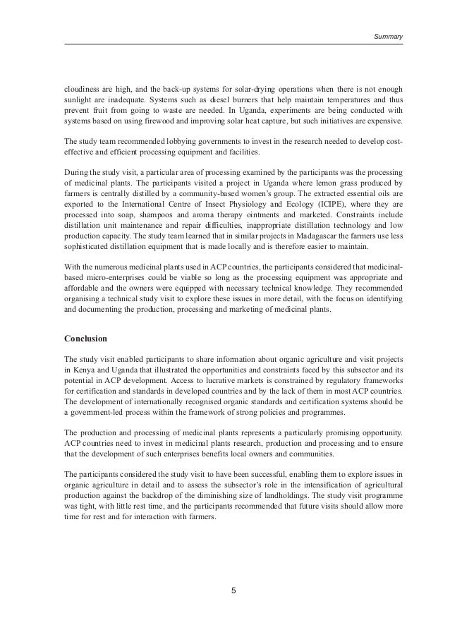short story english essay outline
