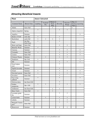 2.workshops | 4.organic gardening | 4.supporting materials | page 14

Attracting Beneficial Insects
Plant
Common Name

Insect Attracted
Bloom Time

Ladybug

Alfalfa

Spring

Angelica

early Spr

•

Buckwheat

•
•

Butter and Eggs

early Fall
late Spr–
Early Sum
Sum–Fall

Butterfly Weed

Summer
Summer

Coriander

Sum–Fall

Cosmos

Sum–Fall

Crimson Thyme

Summer

Dandelion

Spr, Fall
Summer

•

Dwarf alpine
aster

Summer

English lavender

Summer

Fennel

Summer

•

Fern-leaf yarrow

Sum–Fall

Feverfew

Sum–Fall

BigEyed
bugs
•

•

•

Dill

Parasitic
Wasps

Lacewing

•

Caraway

Hoverfly

Summer

Basket of Gold

Minute
Pirate
Bug
•

•

Sum–Fall

Alpine cinquefoil

Tachinid
Fly

Bugle

Four-wing
saltbush

Summer

Gloriosa daisy

Spr– Fall

Goldenrod

Sum–Fall

Lavender globe
lily

Summer

•

•

•

•

•

•

•

•

•

•

•

•
•

•
•

•

•

•

•

•

•

•

•

•

•

•
•

•

•
•

•

•

Sum–Fall

Masterwort

•
•

•
•

Summer

Marigold “lemon
gem”

•

•

Summer

Lobelia

•

Summer

Lemon balm

•

late Sum–Fall

Hairy Vetch

•

late Sum–Fall

Golden
marguerite

•

•
•
•

•

•

•
•

•

•

•

•
•

•
•

•

•

•

•

Find out more at www.foodshare.net

•

 