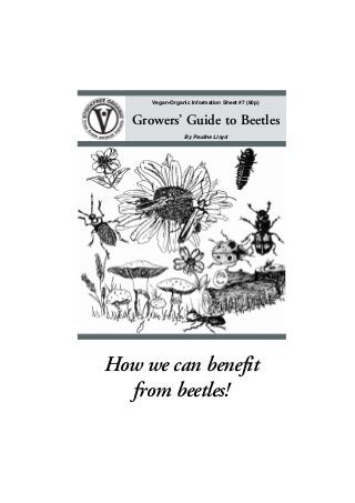 Vegan-Organic Information Sheet #7 (60p)

Growers’ Guide to Beetles
By Pauline Lloyd

How we can benefit
from beetles!
•1•

 