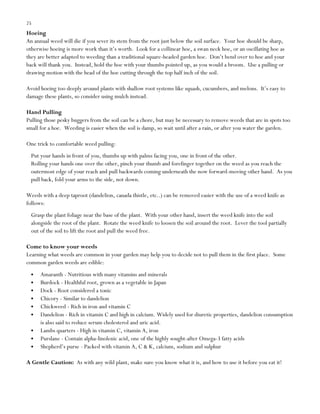 25

Hoeing
An annual weed will die if you sever its stem from the root just below the soil surface. Your hoe should be sharp,
otherwise hoeing is more work than it‟s worth. Look for a collinear hoe, a swan neck hoe, or an oscillating hoe as
they are better adapted to weeding than a traditional square-headed garden hoe. Don‟t bend over to hoe and your
back will thank you. Instead, hold the hoe with your thumbs pointed up, as you would a broom. Use a pulling or
drawing motion with the head of the hoe cutting through the top half inch of the soil.
Avoid hoeing too deeply around plants with shallow root systems like squash, cucumbers, and melons. It‟s easy to
damage these plants, so consider using mulch instead.
Hand Pulling
Pulling those pesky buggers from the soil can be a chore, but may be necessary to remove weeds that are in spots too
small for a hoe. Weeding is easier when the soil is damp, so wait until after a rain, or after you water the garden.
One trick to comfortable weed pulling:
Put your hands in front of you, thumbs up with palms facing you, one in front of the other.
Rolling your hands one over the other, pinch your thumb and forefinger together on the weed as you reach the
outermost edge of your reach and pull backwards coming underneath the now forward-moving other hand. As you
pull back, fold your arms to the side, not down.
Weeds with a deep taproot (dandelion, canada thistle, etc..) can be removed easier with the use of a weed knife as
follows:
Grasp the plant foliage near the base of the plant. With your other hand, insert the weed knife into the soil
alongside the root of the plant. Rotate the weed knife to loosen the soil around the root. Lever the tool partially
out of the soil to lift the root and pull the weed free.
Come to know your weeds
Learning what weeds are common in your garden may help you to decide not to pull them in the first place. Some
common garden weeds are edible:
Amaranth - Nutritious with many vitamins and minerals
Burdock - Healthful root, grown as a vegetable in Japan
Dock - Root considered a tonic
Chicory - Similar to dandelion
Chickweed - Rich in iron and vitamin C
Dandelion - Rich in vitamin C and high in calcium. Widely used for diuretic properties, dandelion consumption
is also said to reduce serum cholesterol and uric acid.
Lambs quarters - High in vitamin C, vitamin A, iron
Purslane - Contain alpha-linolenic acid, one of the highly sought-after Omega-3 fatty acids
Shepherd‟s purse - Packed with vitamin A, C & K, calcium, sodium and sulphur
A Gentle Caution: As with any wild plant, make sure you know what it is, and how to use it before you eat it!

 